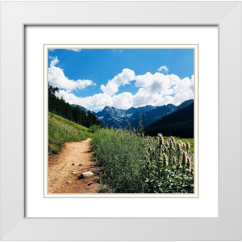 Lovely Path White Modern Wood Framed Art Print with Double Matting by Coppel, Anna