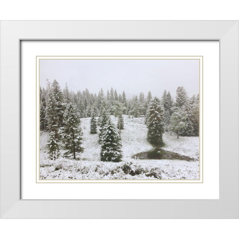 Dusting of Snow White Modern Wood Framed Art Print with Double Matting by Coppel, Anna