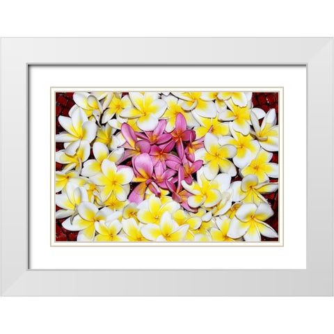 Floating Petals White Modern Wood Framed Art Print with Double Matting by Coppel, Anna