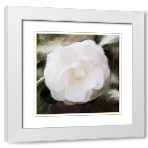 White Flower White Modern Wood Framed Art Print with Double Matting by Meneely, Dan
