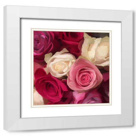Pink Roses White Modern Wood Framed Art Print with Double Matting by Meneely, Dan