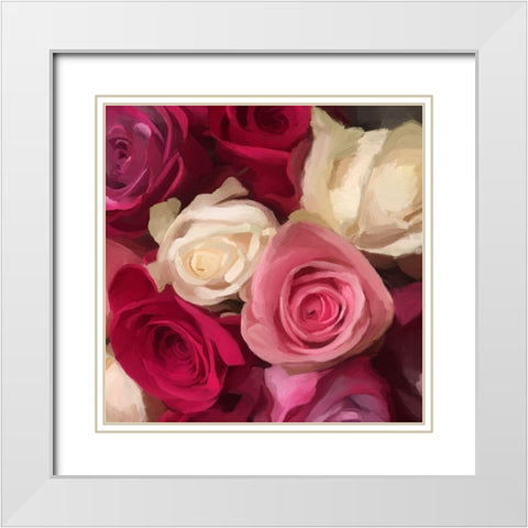 Pink Roses White Modern Wood Framed Art Print with Double Matting by Meneely, Dan