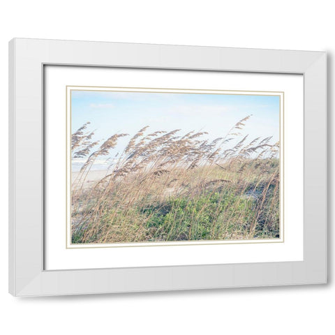 Eastern Beach Grass I White Modern Wood Framed Art Print with Double Matting by Bonnett, Stede