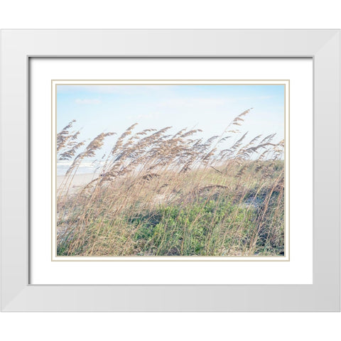 Eastern Beach Grass I White Modern Wood Framed Art Print with Double Matting by Bonnett, Stede