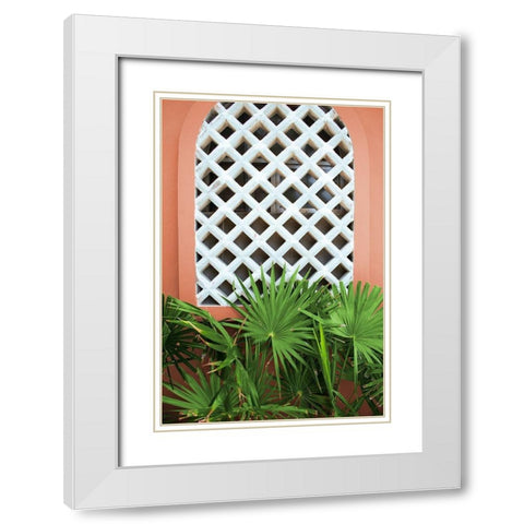 Mexican Fan Palms White Modern Wood Framed Art Print with Double Matting by Wilson, Kali