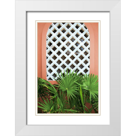 Mexican Fan Palms White Modern Wood Framed Art Print with Double Matting by Wilson, Kali
