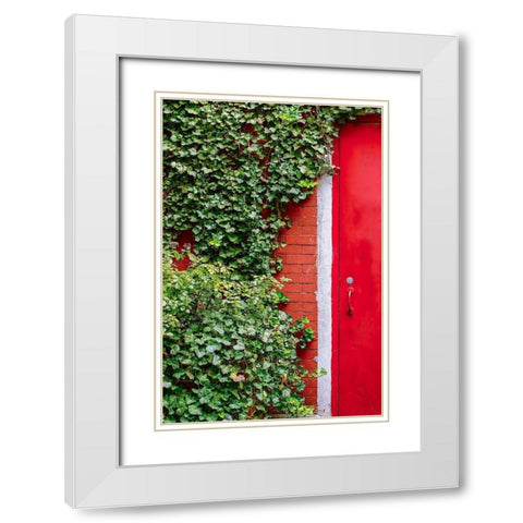 Red Garden Door White Modern Wood Framed Art Print with Double Matting by Bill Carson Photography