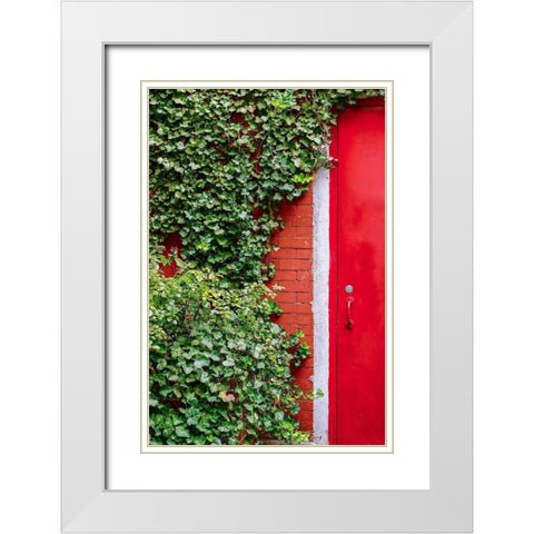 Red Garden Door White Modern Wood Framed Art Print with Double Matting by Bill Carson Photography