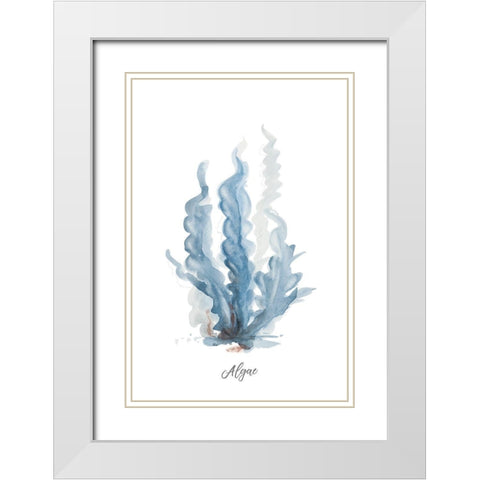 Algae White Modern Wood Framed Art Print with Double Matting by Pinto, Patricia