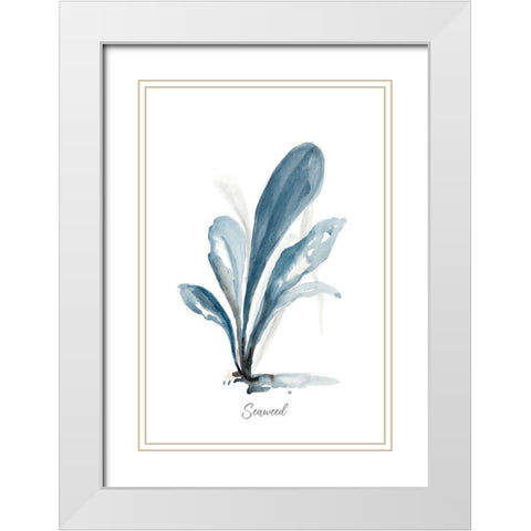 Seaweed White Modern Wood Framed Art Print with Double Matting by Pinto, Patricia