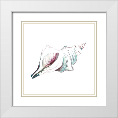 Seashell Square White Modern Wood Framed Art Print with Double Matting by Beauchamp, Andy