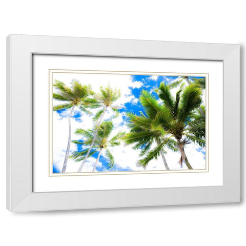 Hawaii Oahu Palms White Modern Wood Framed Art Print with Double Matting by Bill Carson Photography