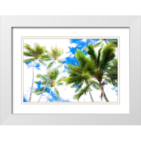 Hawaii Oahu Palms White Modern Wood Framed Art Print with Double Matting by Bill Carson Photography