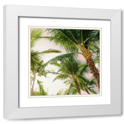 Bright Oahu Palms I White Modern Wood Framed Art Print with Double Matting by Bill Carson Photography