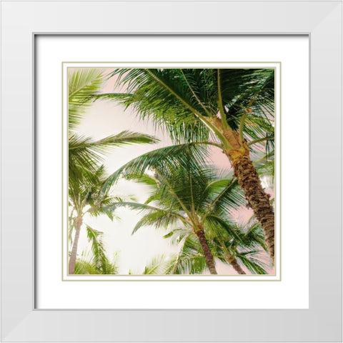 Bright Oahu Palms I White Modern Wood Framed Art Print with Double Matting by Bill Carson Photography