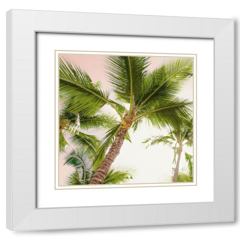 Bright Oahu Palms II White Modern Wood Framed Art Print with Double Matting by Bill Carson Photography
