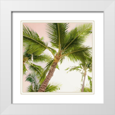 Bright Oahu Palms II White Modern Wood Framed Art Print with Double Matting by Bill Carson Photography