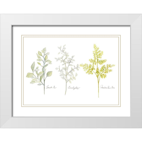 Named Ferns I White Modern Wood Framed Art Print with Double Matting by Gaynor, Janice
