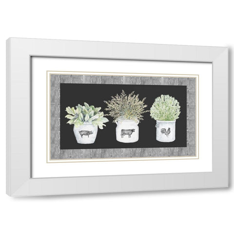 Potted Farm Arrangement Trio on Chalkboard White Modern Wood Framed Art Print with Double Matting by Gaynor, Janice