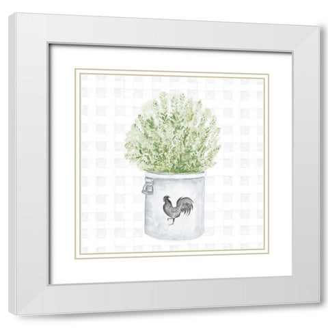 Farm Herbs II White Modern Wood Framed Art Print with Double Matting by Gaynor, Janice