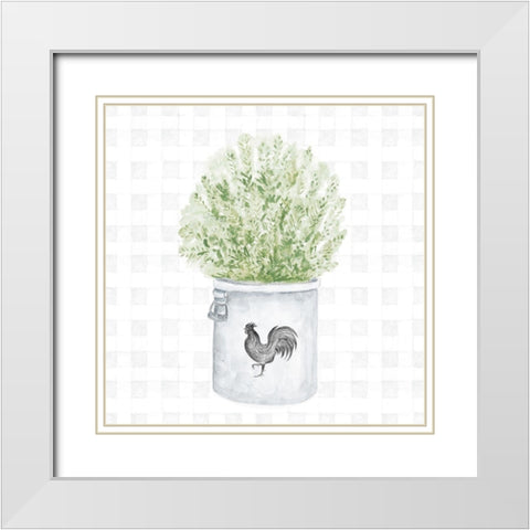 Farm Herbs II White Modern Wood Framed Art Print with Double Matting by Gaynor, Janice