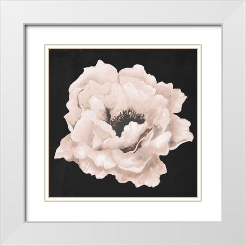 Pink Flower on Black I White Modern Wood Framed Art Print with Double Matting by Medley, Elizabeth