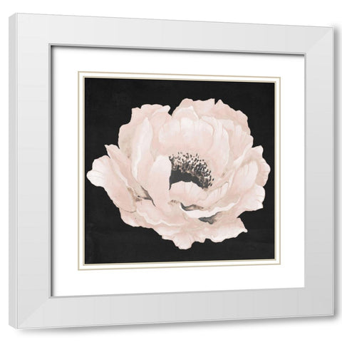 Pink Flower on Black II White Modern Wood Framed Art Print with Double Matting by Medley, Elizabeth