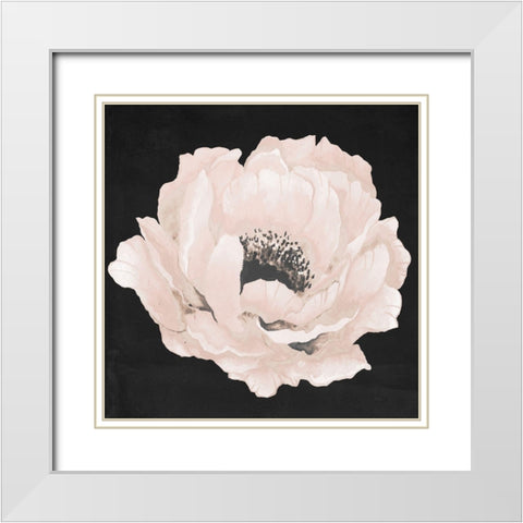 Pink Flower on Black II White Modern Wood Framed Art Print with Double Matting by Medley, Elizabeth