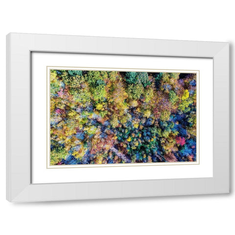 Aerial Fall Trees White Modern Wood Framed Art Print with Double Matting by Veilleux, Jason