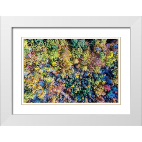 Aerial Fall Trees White Modern Wood Framed Art Print with Double Matting by Veilleux, Jason