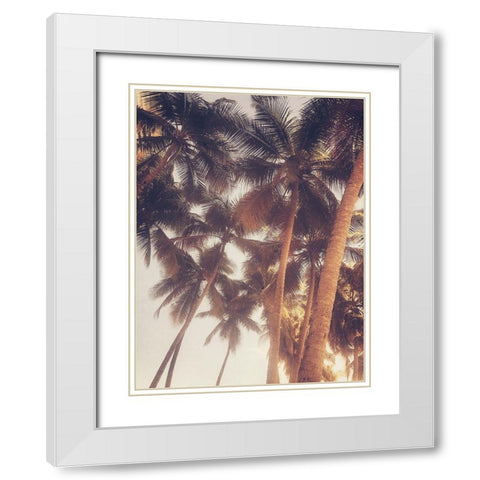 Vintage Palms White Modern Wood Framed Art Print with Double Matting by Acosta