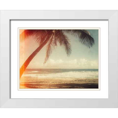 Single Palm White Modern Wood Framed Art Print with Double Matting by Acosta