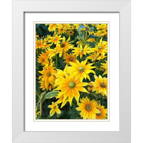 Bright Spring White Modern Wood Framed Art Print with Double Matting by Jane, Sarah