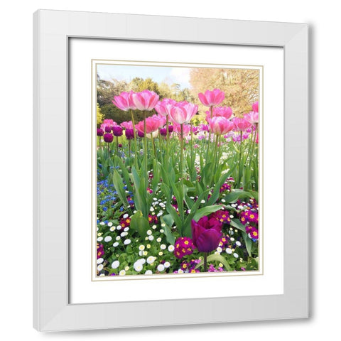Spring Garden White Modern Wood Framed Art Print with Double Matting by Jane, Sarah