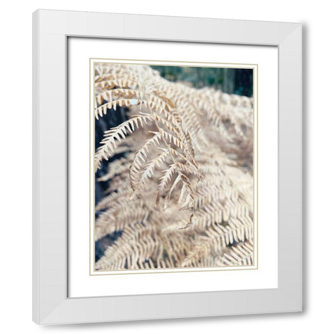 Cream Fern White Modern Wood Framed Art Print with Double Matting by Jane, Sarah