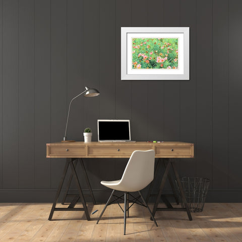 Daisy Field II White Modern Wood Framed Art Print with Double Matting by Navas, Emily
