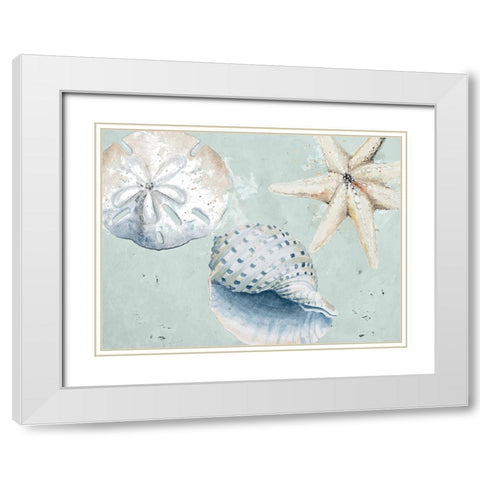 Sea Shells And Starfish White Modern Wood Framed Art Print with Double Matting by Pinto, Patricia