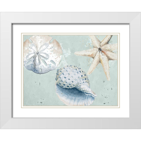 Sea Shells And Starfish White Modern Wood Framed Art Print with Double Matting by Pinto, Patricia