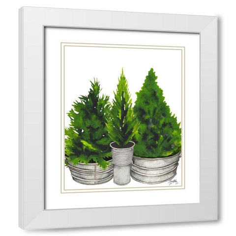 Evergreens in Galvanized Tins White Modern Wood Framed Art Print with Double Matting by Medley, Elizabeth