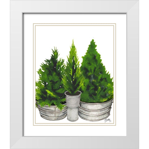 Evergreens in Galvanized Tins White Modern Wood Framed Art Print with Double Matting by Medley, Elizabeth