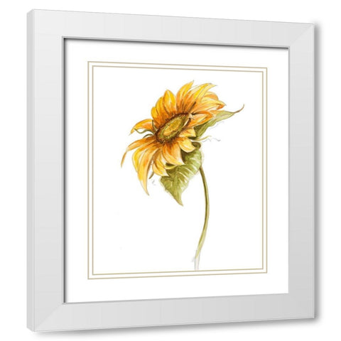 Harvest Gold Sunflower I White Modern Wood Framed Art Print with Double Matting by Pinto, Patricia