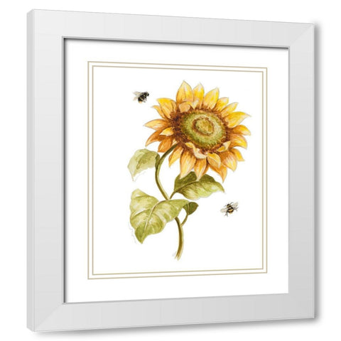 Harvest Gold Sunflower II White Modern Wood Framed Art Print with Double Matting by Pinto, Patricia