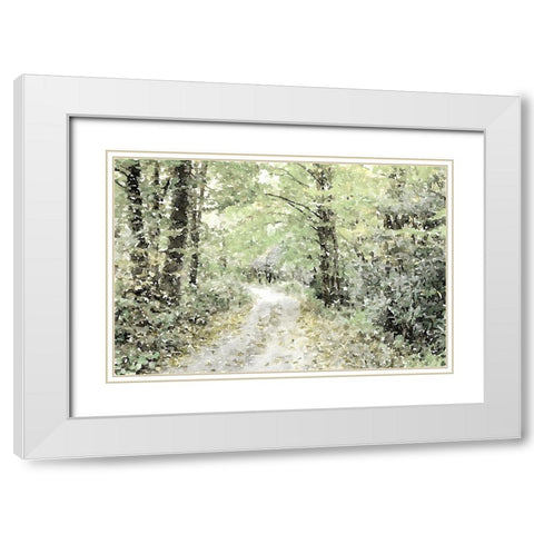 Dappled Path White Modern Wood Framed Art Print with Double Matting by Mansfield, Kathy