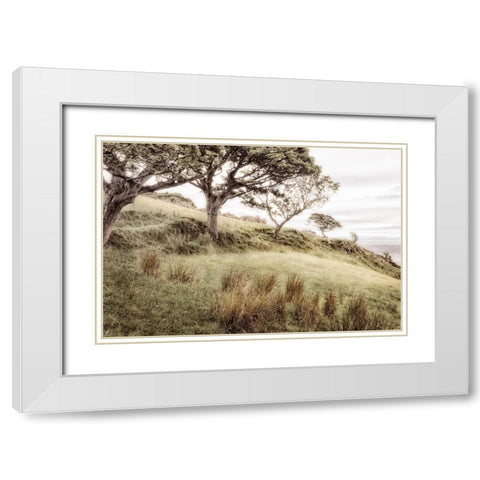 Irish Hillside White Modern Wood Framed Art Print with Double Matting by Amos, Andy
