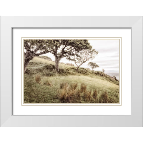 Irish Hillside White Modern Wood Framed Art Print with Double Matting by Amos, Andy