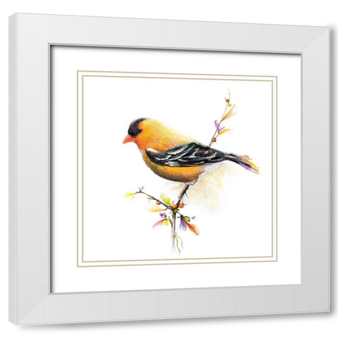 Watercolor Chickadee III White Modern Wood Framed Art Print with Double Matting by Diannart