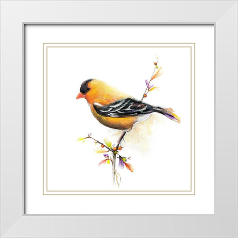 Watercolor Chickadee III White Modern Wood Framed Art Print with Double Matting by Diannart