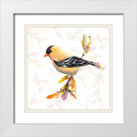 Watercolor Chickadee IV White Modern Wood Framed Art Print with Double Matting by Diannart