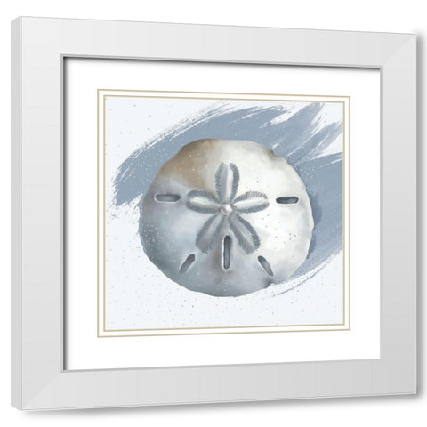 Sand Dollar White Modern Wood Framed Art Print with Double Matting by Sheppard, Lucca