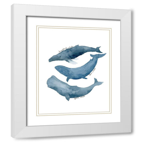 Whale Trio White Modern Wood Framed Art Print with Double Matting by Price, Lucille